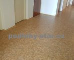 5982e02218ef1.jpg
